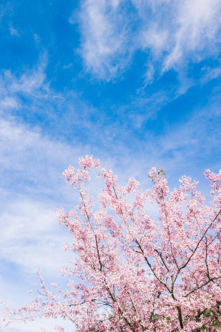 ２月新たな門出